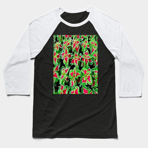 coleus leaves pattern Baseball T-Shirt by Banyu_Urip